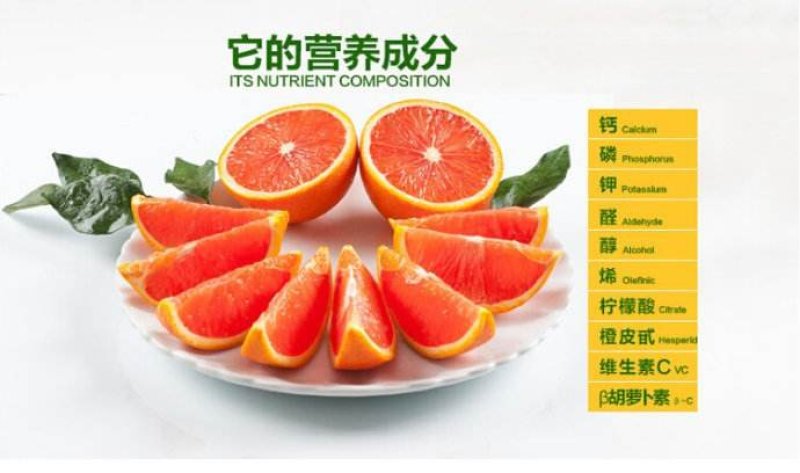 麻阳血橙