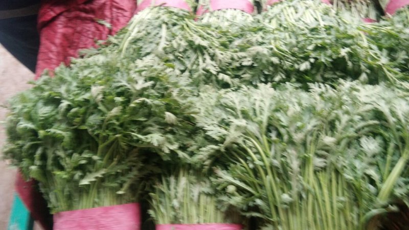 精品茼蒿