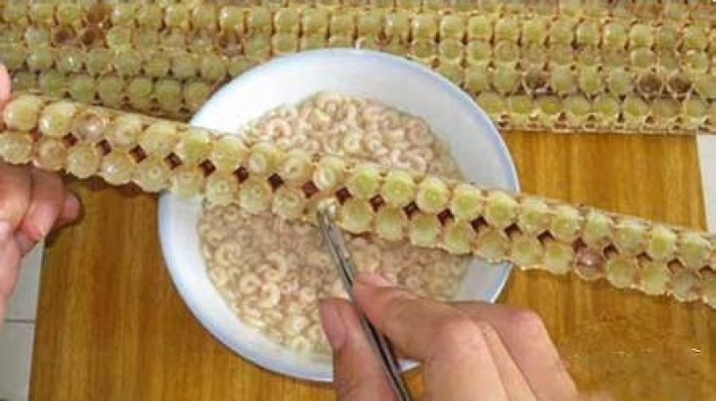 蜂王浆
