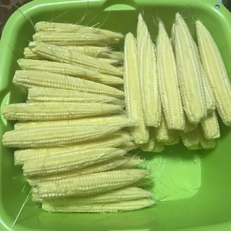 新鲜玉米笋净笋5斤包邮