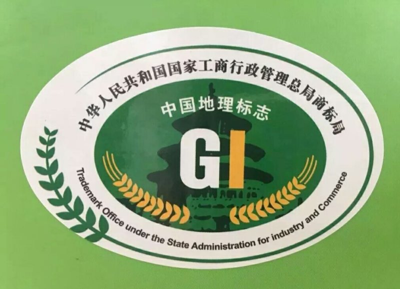 黄桃树苗金黄金黄桃6～10月份新品种桃苗枝条