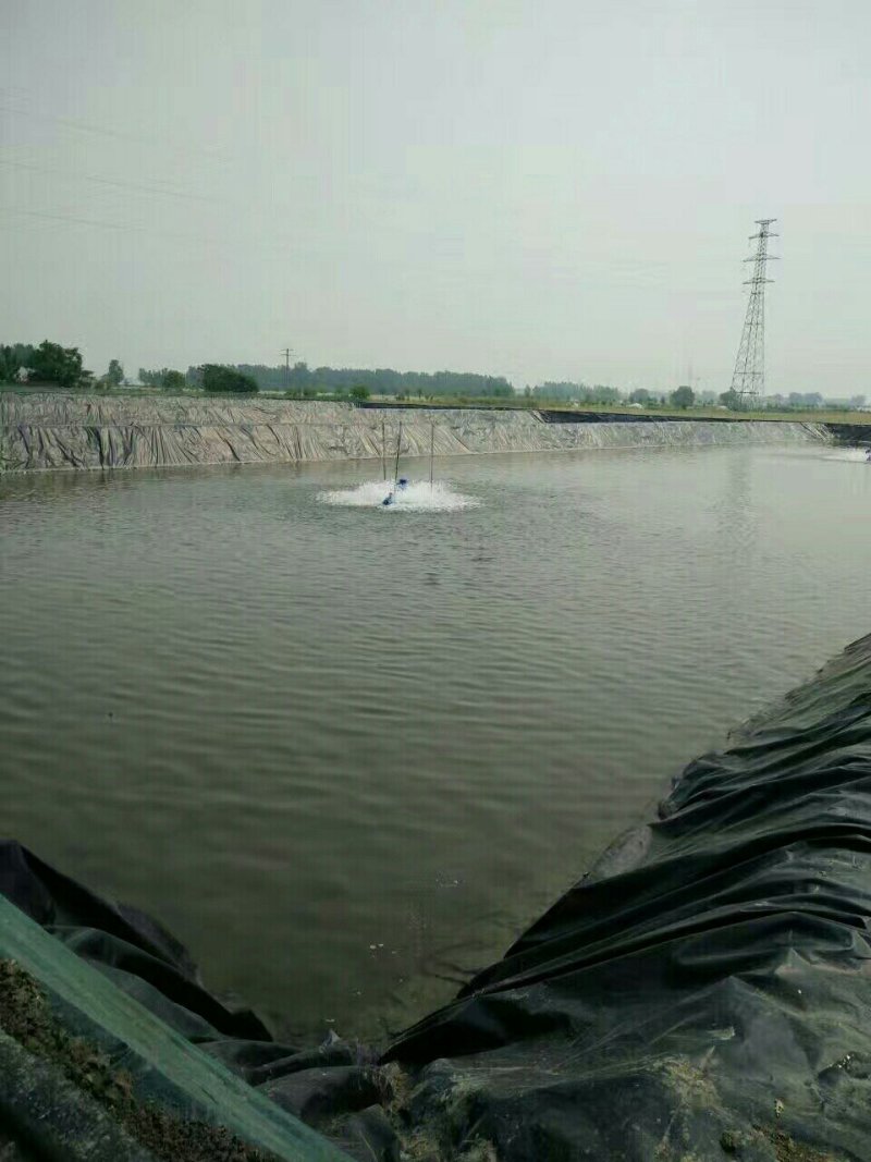 泥鳅养殖专用防渗膜厂家直销规格厚度齐全支持定制量大从优
