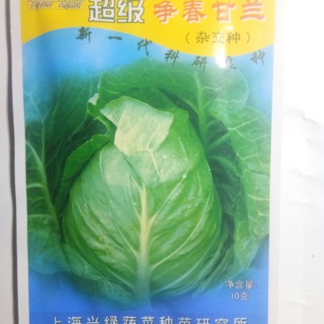 已**牛心甘蓝春甘蓝种子(争春)越冬甘蓝种子