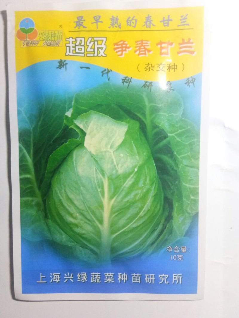 已**牛心甘蓝春甘蓝种子（争春）越冬甘蓝种子