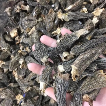 干羊肚菌，250g一盒，