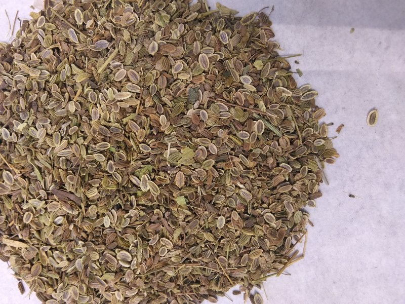各种中药材种子。
