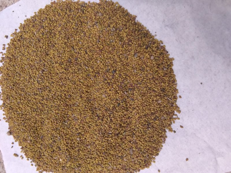 各种中药材种子。