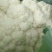 有机菜花松花散花大量供应市场超市欢迎新老客户前来采购