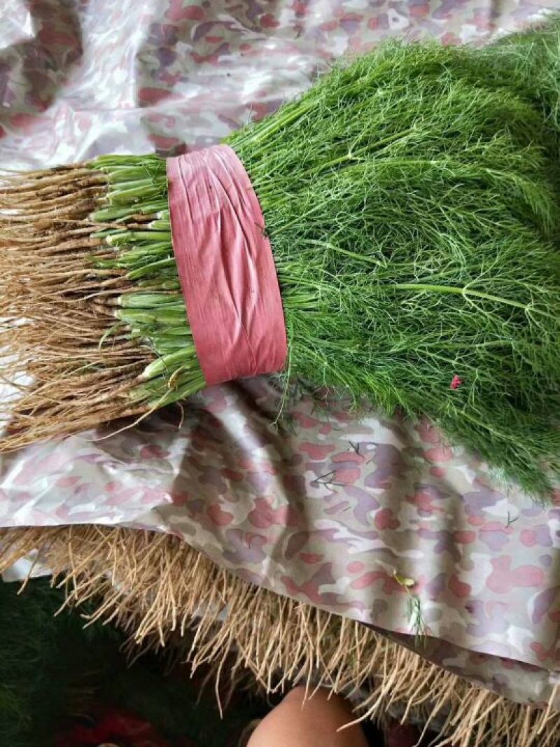 蔬菜齐全，需要的联系我