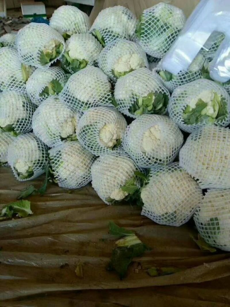 蔬菜齐全，需要的联系我