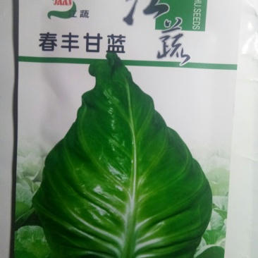 已**牛心甘蓝春甘蓝种子（春丰）越冬甘蓝种子