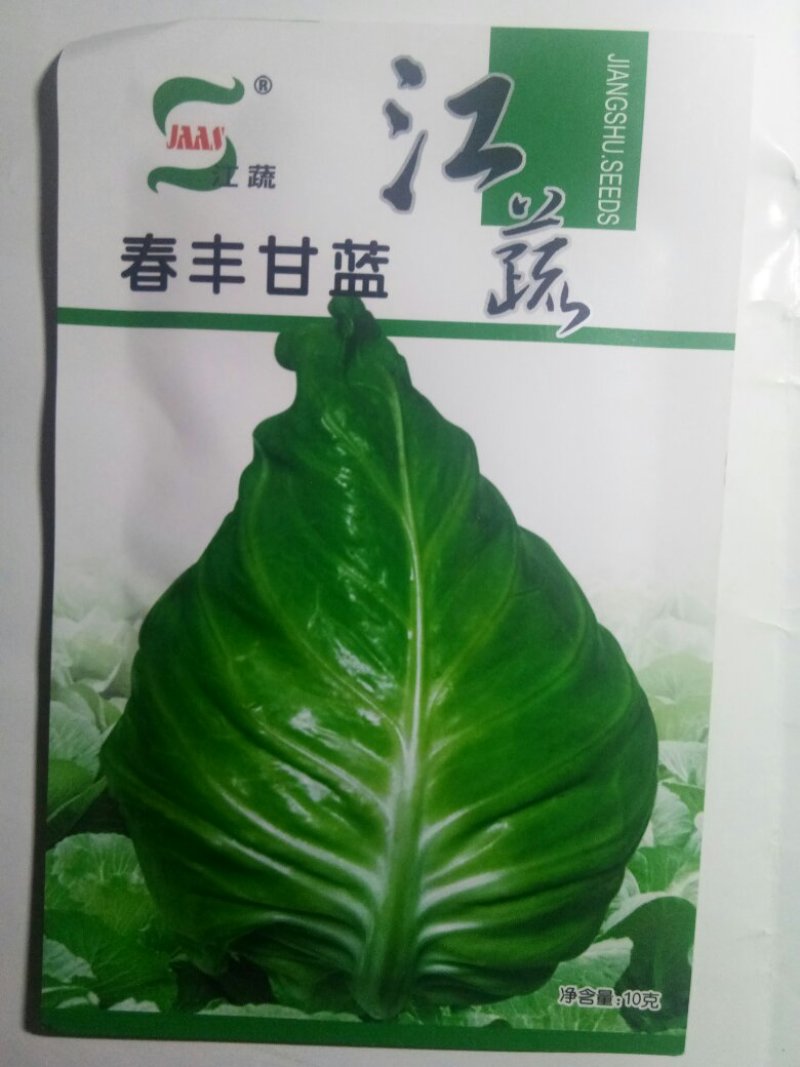 已**牛心甘蓝春甘蓝种子（春丰）越冬甘蓝种子