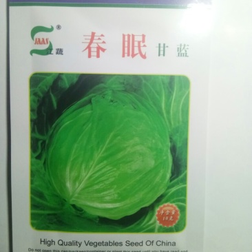 已**杂交春甘蓝种子（春眠）越冬甘蓝种子