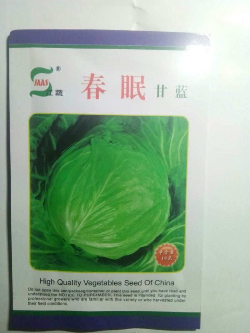 已**杂交春甘蓝种子（春眠）越冬甘蓝种子