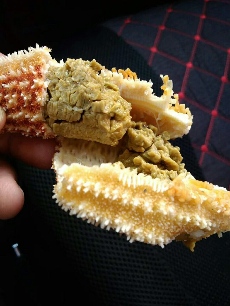 海星，大小规格，籽粒饱满，品质保证，各地冷链发货欢迎垂询