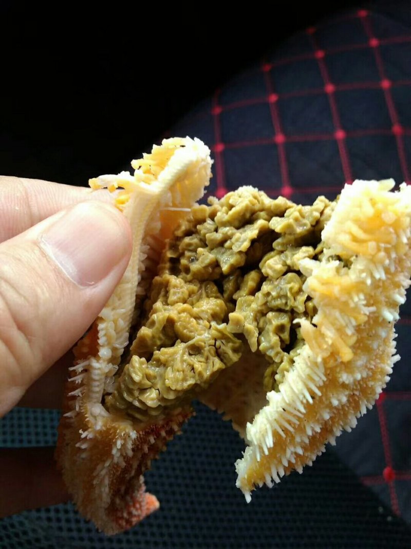海星，大小规格，籽粒饱满，品质保证，各地冷链发货欢迎垂询