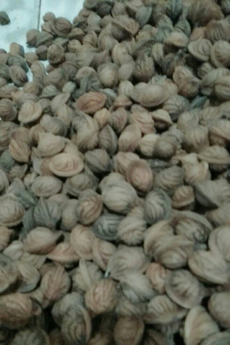 文玩核桃