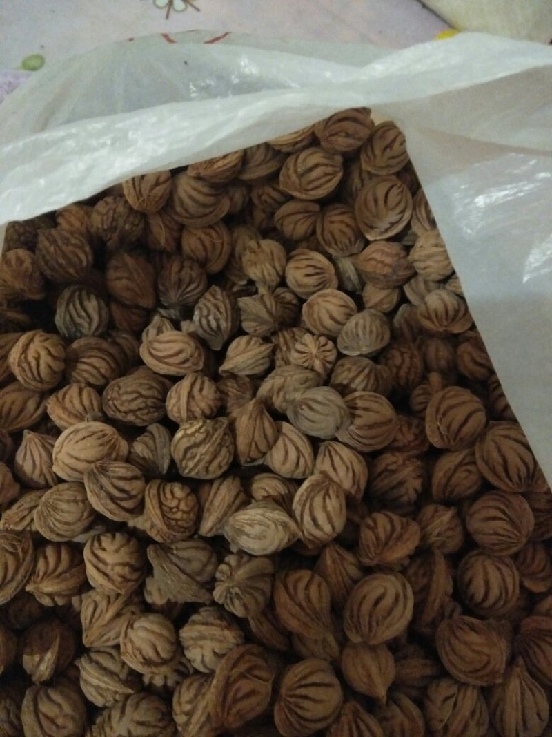 文玩核桃