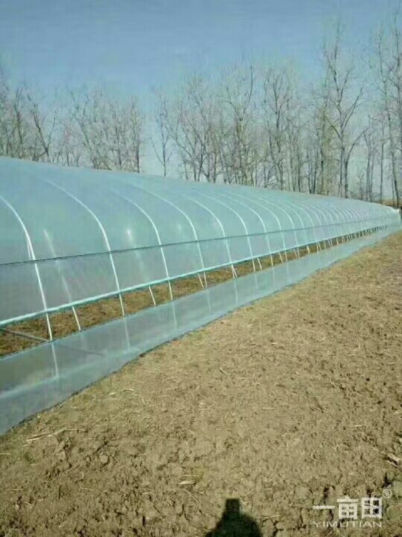 4一26米，各种规格普通大棚，任意定制！
