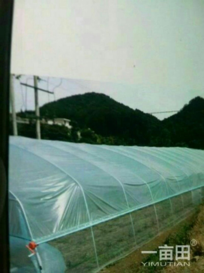 4一26米，各种规格普通大棚，任意定制！