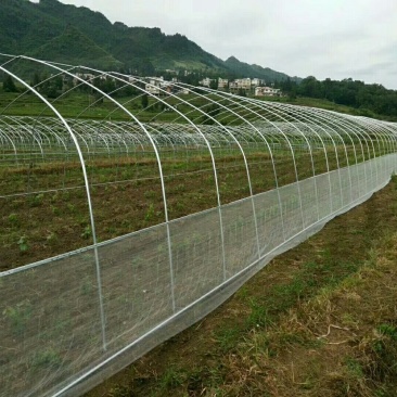 4一26米，各种规格普通大棚，任意定制！