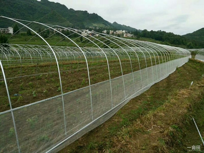 4一26米，各种规格普通大棚，任意定制！
