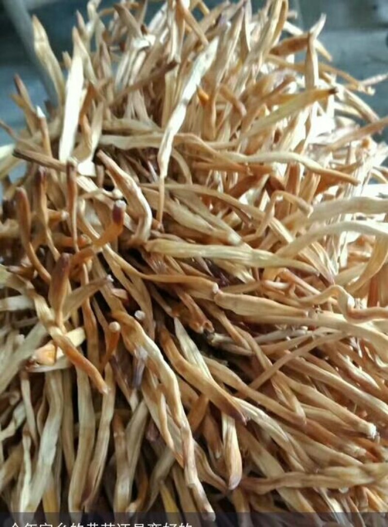 干黄花菜，