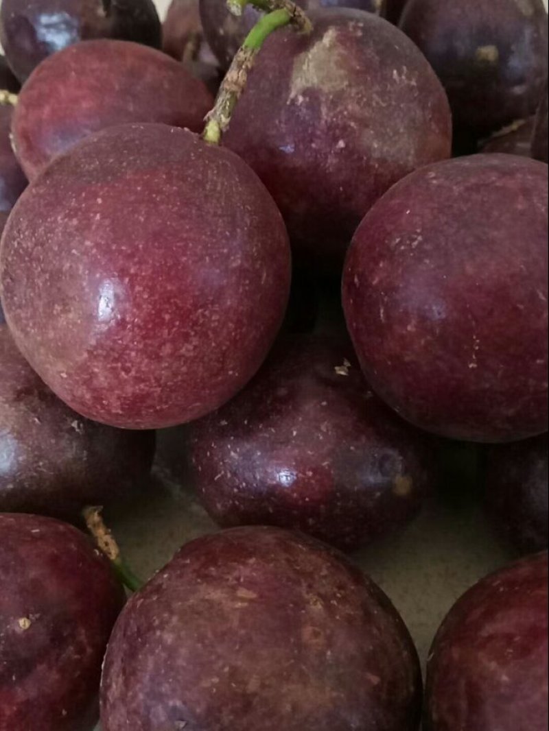 量大欢迎大家选购