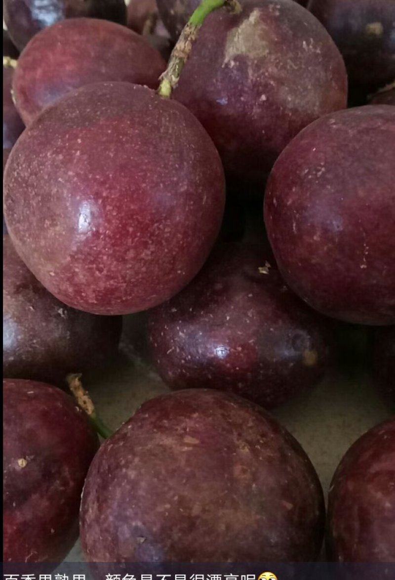 量大欢迎大家选购