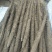白嘴，棒药，
