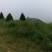 荒山