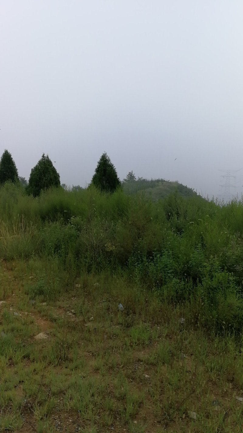 荒山