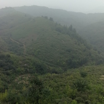 荒山