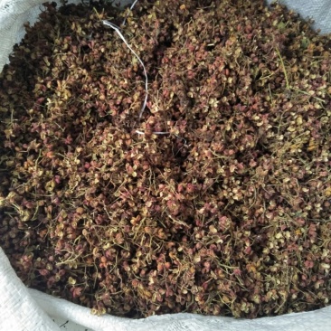 大红袍花椒