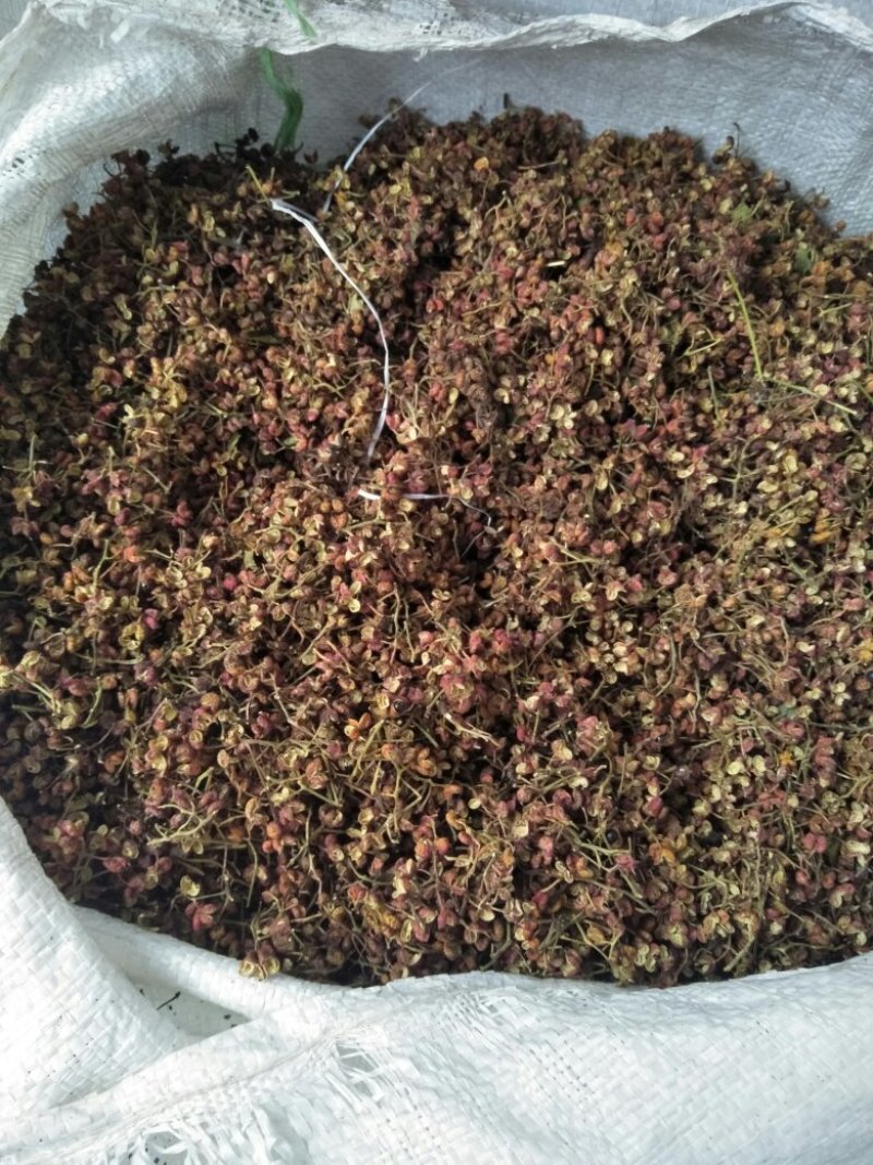大红袍花椒