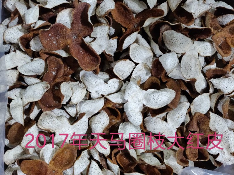 陈皮