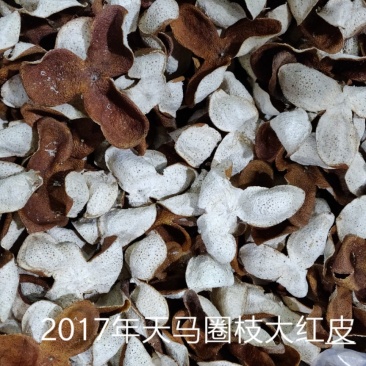陈皮