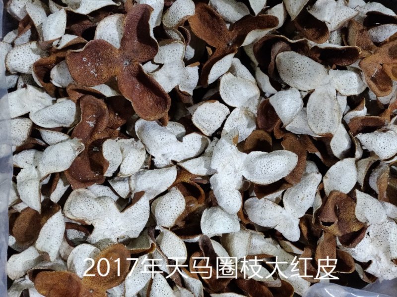 陈皮