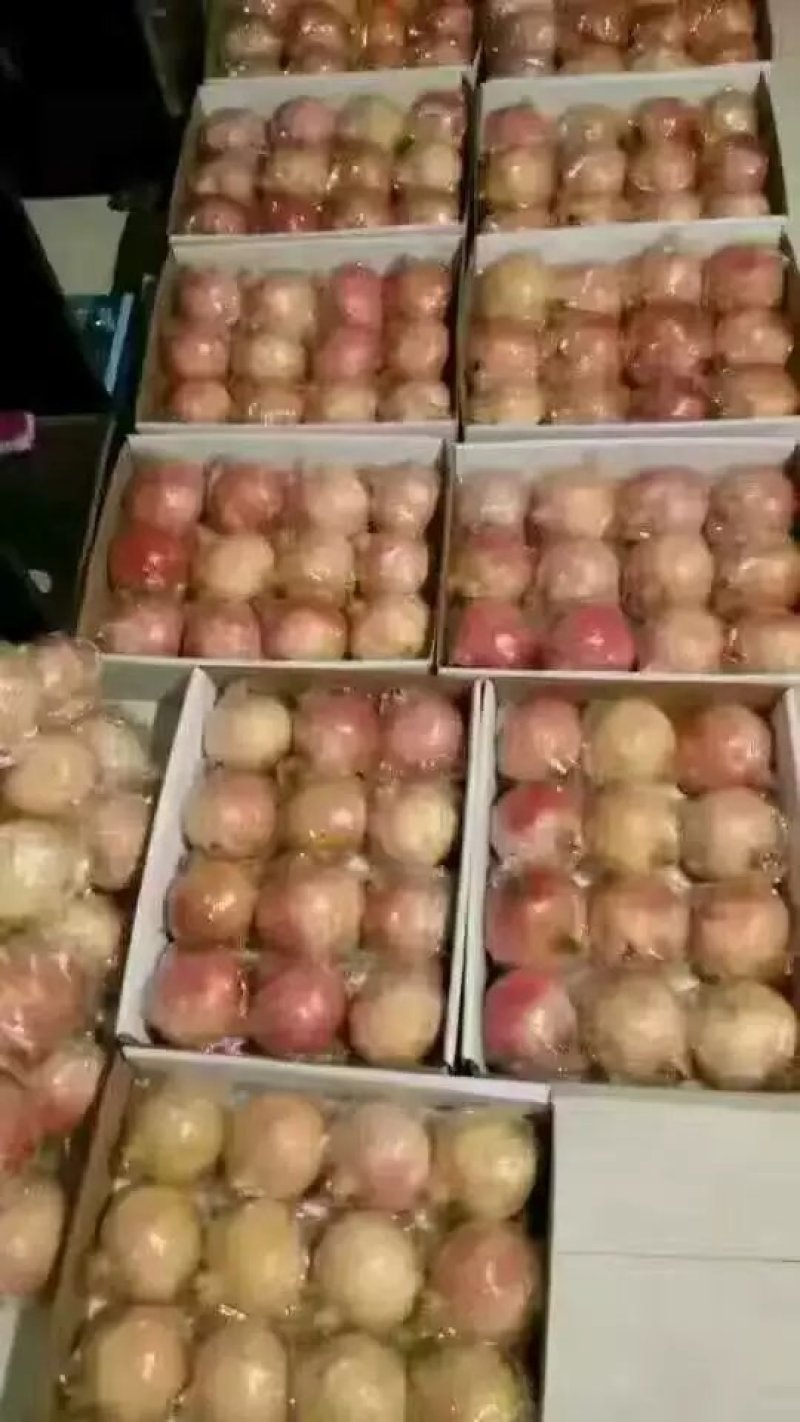 石榴