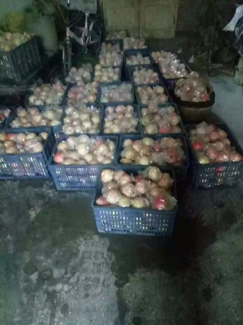 石榴