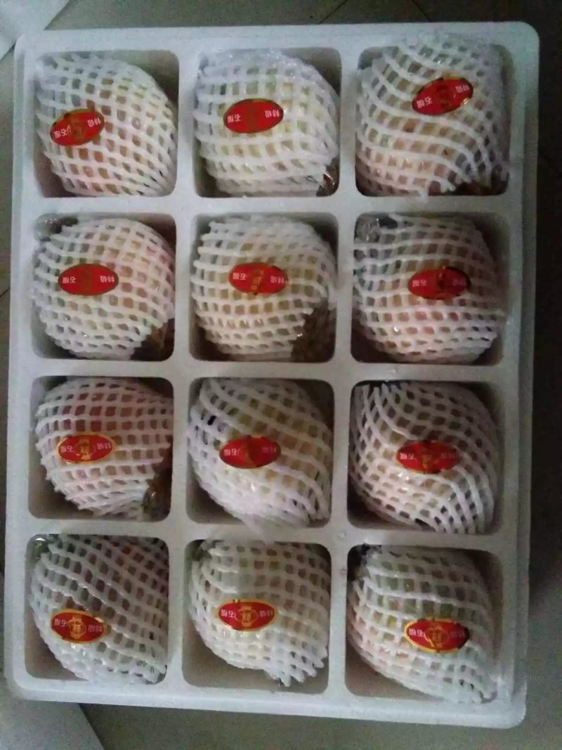 石榴