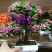 仿真花