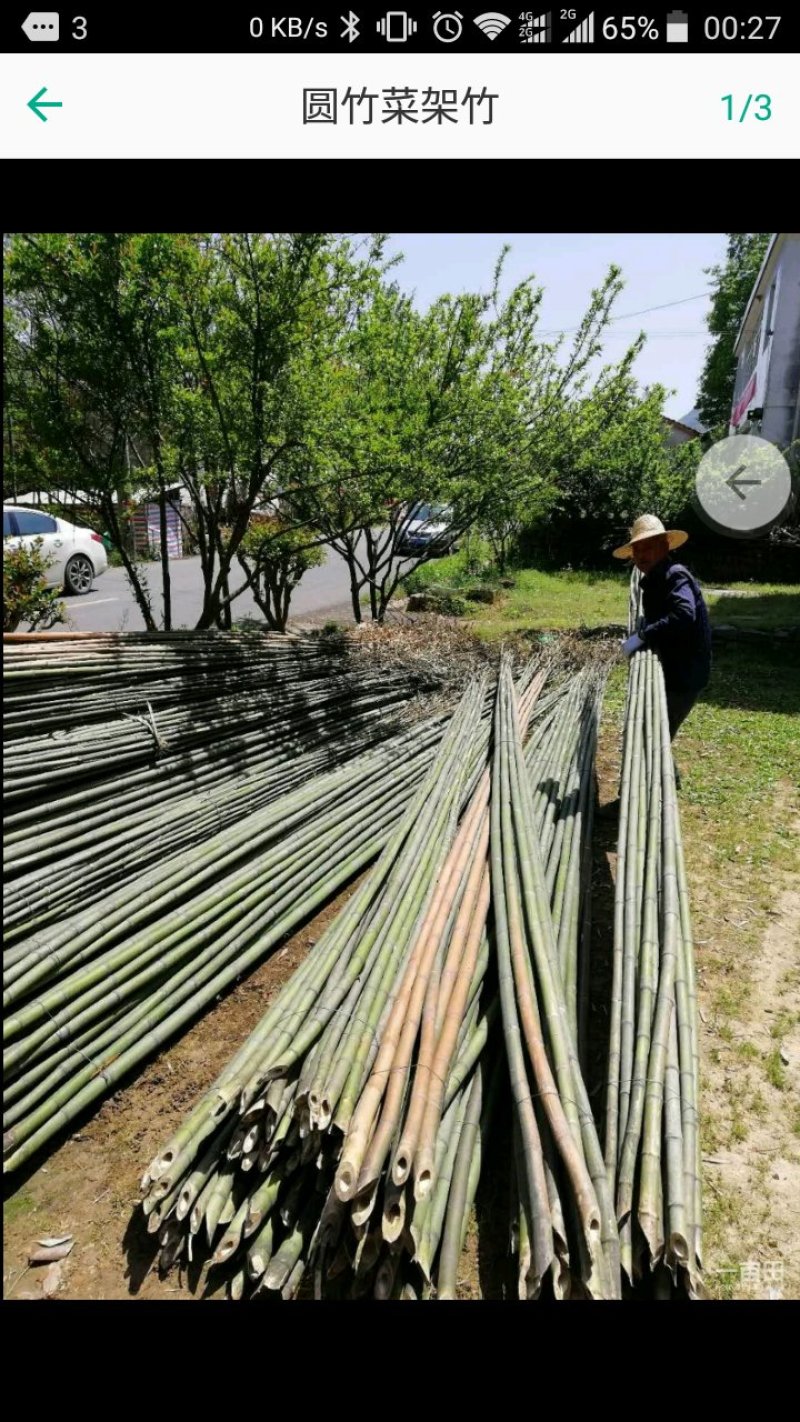 黄竹！撑高竹！搭棚材料