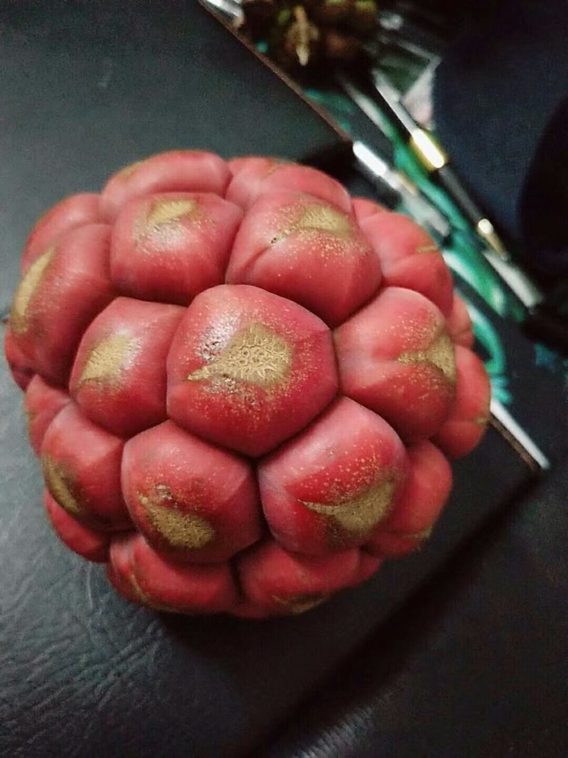 大量供应黑老虎鲜果