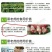 大量供应黑老虎鲜果