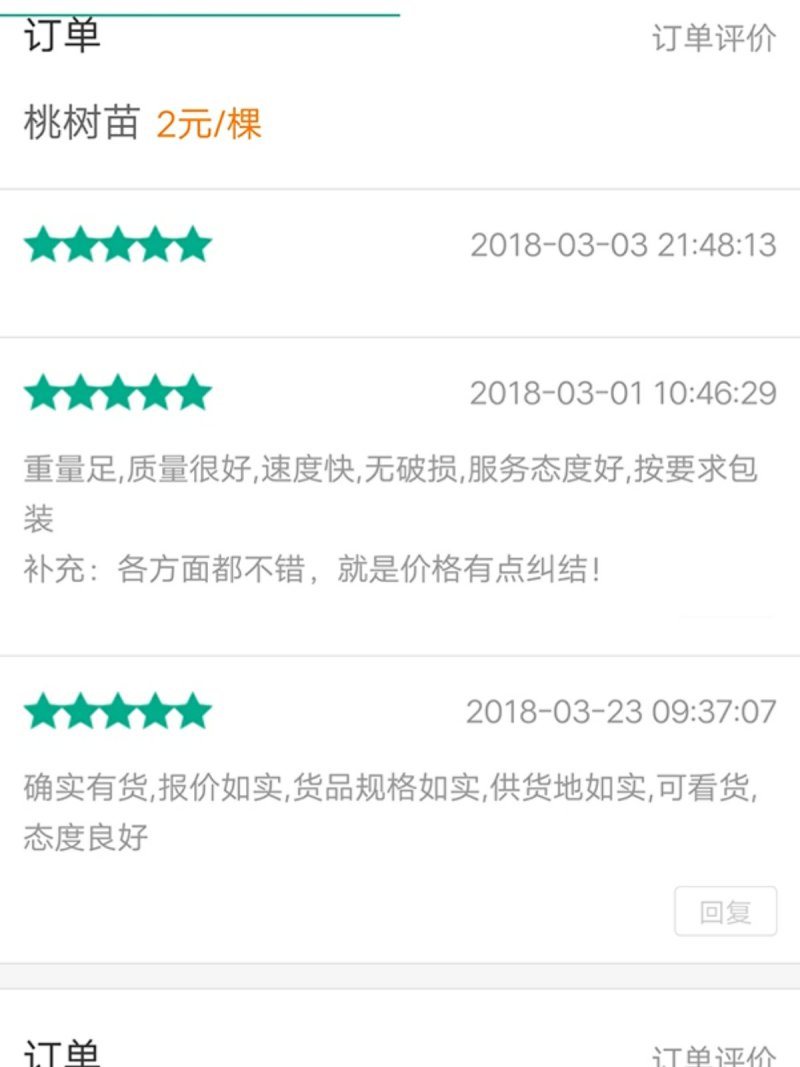 芒果油杏.蜜霸油杏,黑杏、凯特，珍珠油杏80cm以上
