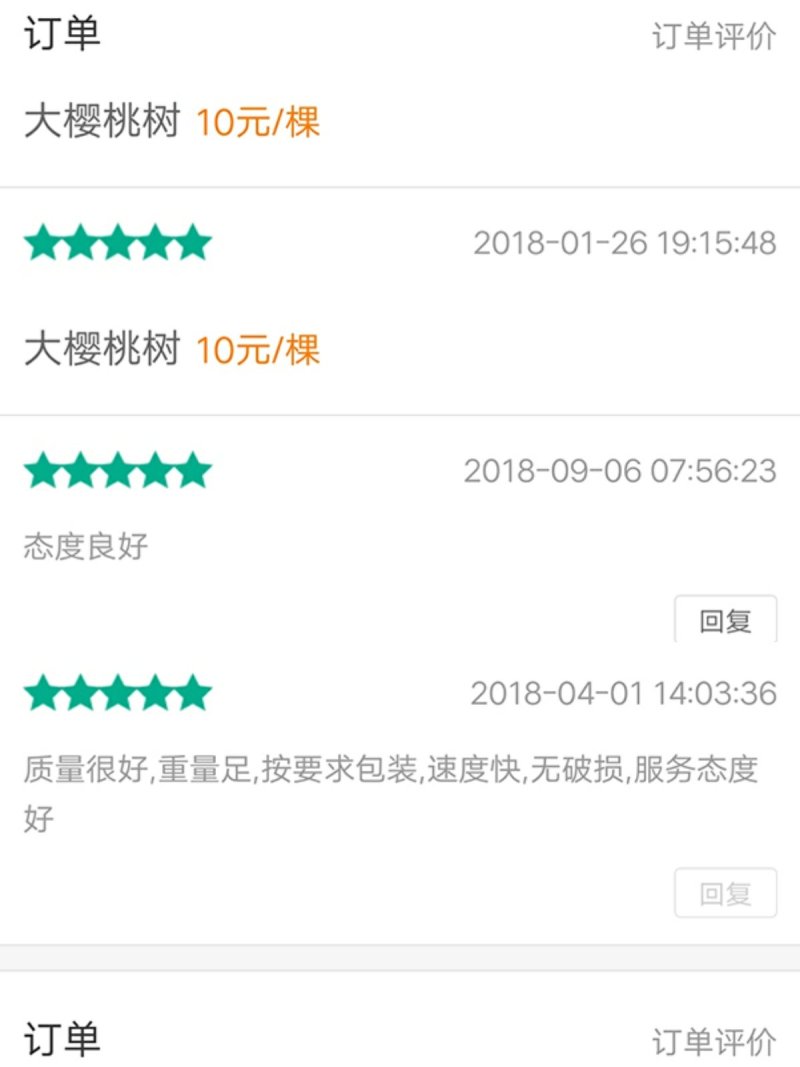 车厘子苗，齐早，美早，俄罗斯八号，鲁樱3号