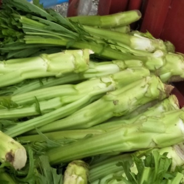 棒菜