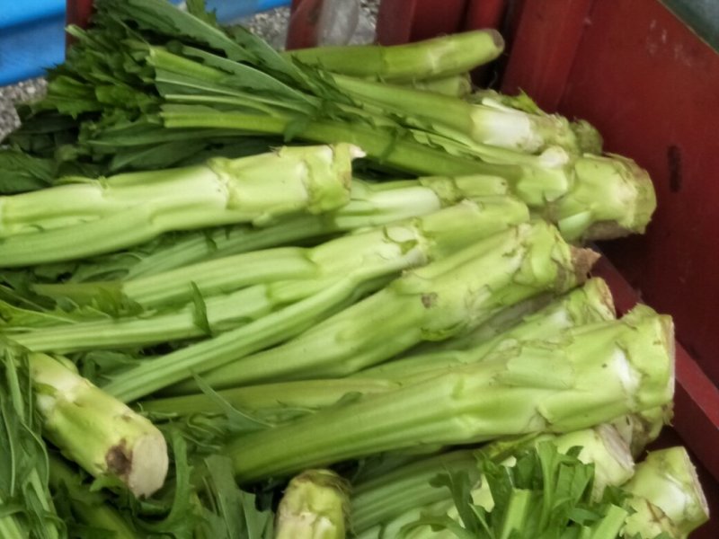 棒菜