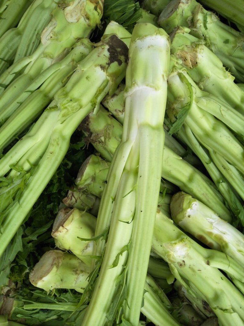 棒菜